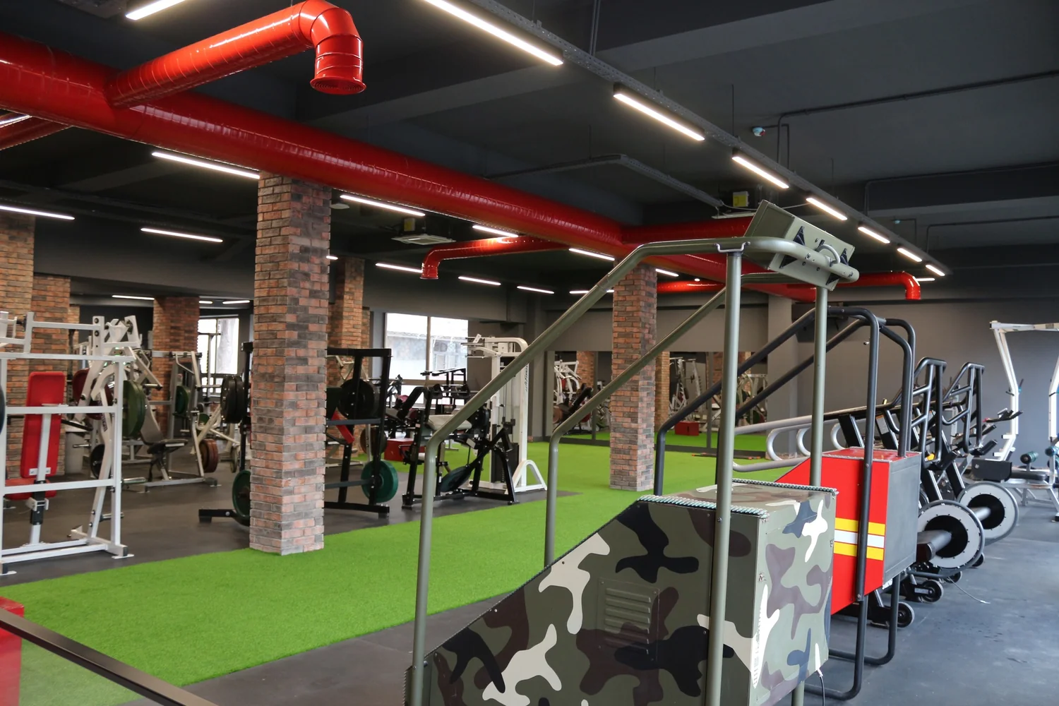 Alpha Gym
