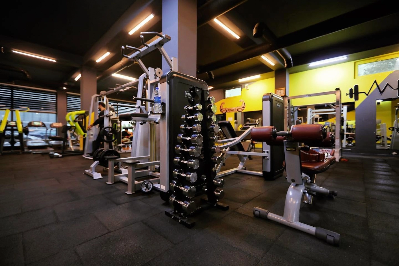 Bull Gym