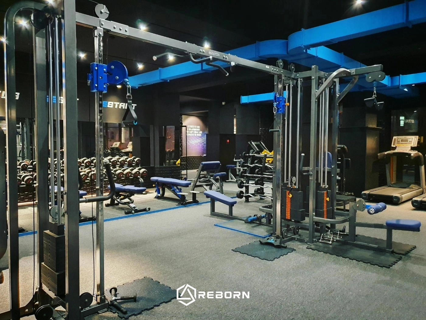 Reborn Gym