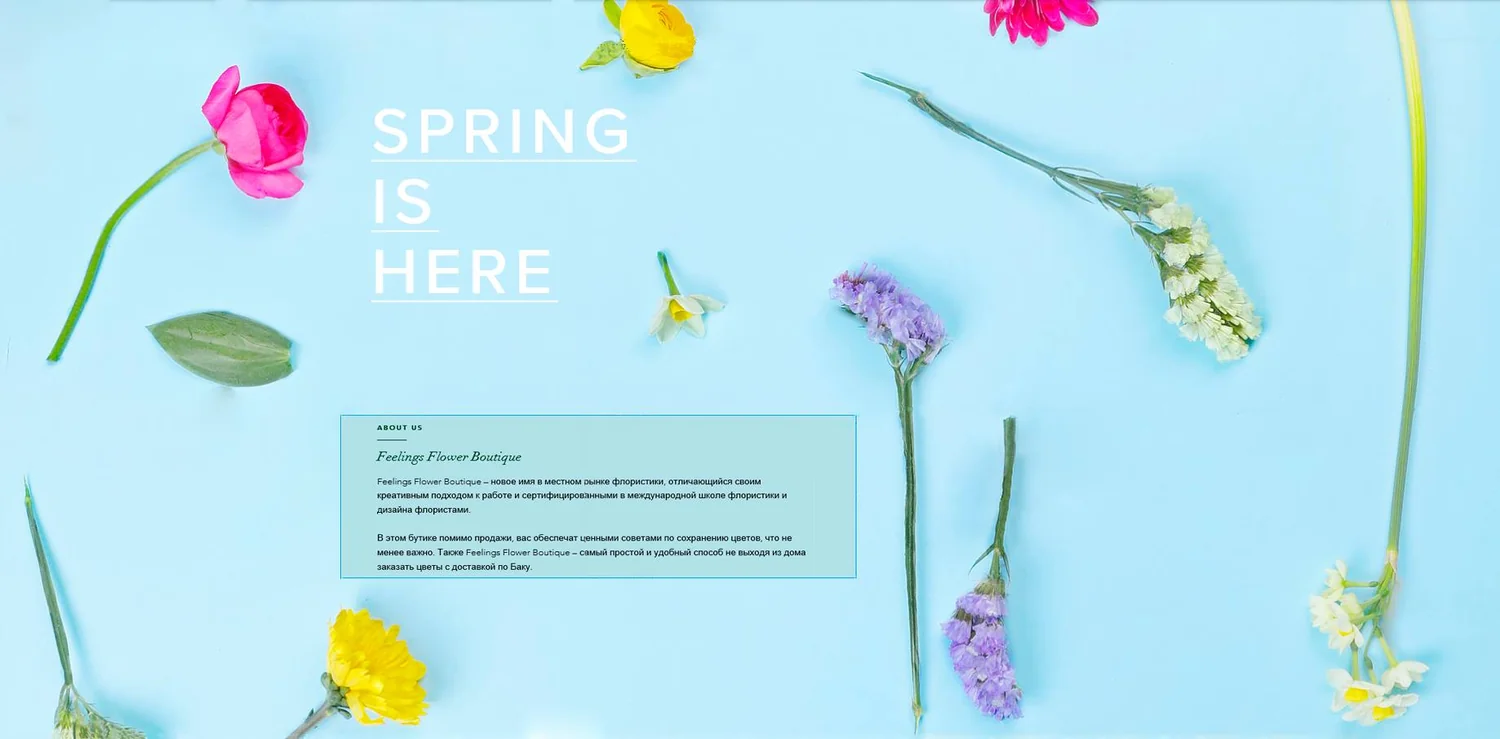 Feelings Flower Boutique