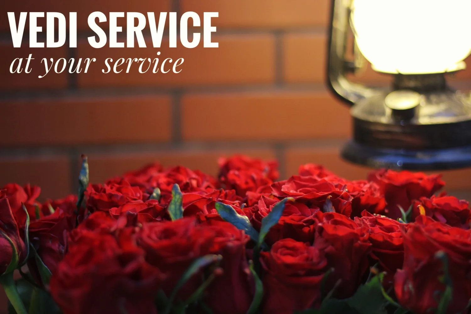 Vedi Service Nizami