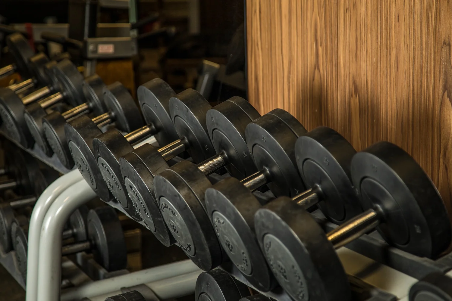 Vitr Fitness