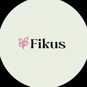 Fikus Baku
