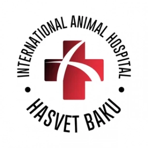 Hasvet Animal Hospital