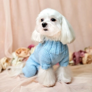Doggie Couture